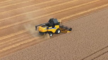 SALT FLEETby Aziz PETER, LINCOLNSHIRE, BİRLİK KINGDOM - 09 AĞUSTOS 2025: New Holland CX6.90 olgunlaşmış buğdayı tarlada hasat ediyor. Hasat makinesi tahıl kesiyor ve saman sıraları üretiyor. Hasat mevsiminde tarım tahıl hasadını birleştirin