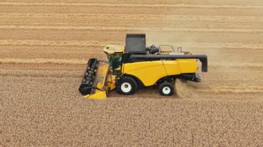 Tarlada buğday hasadını birleştirmek. Kırsalda hasatçı olgun tahıl hasadı kesiyor. Tarım makinesi kırsal alanda altın tahıl hasadı topluyor. Toprakta arpa hasadı işleyen tarım ekipmanları