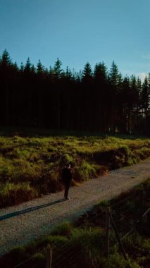 Kâşif, altın saat boyunca sık ormanın yanında yürüyor. Güneşli bir akşamda kırsal çakıl yolu boyunca ilerleyen sırt çantalı, dikey oryantasyon. Sıcak ışıkta, temiz gökyüzünün altında ağaçların arasında gezinen kişi.