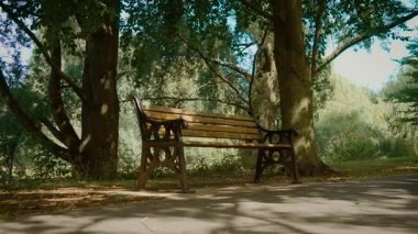 Park bankı, ağaç gövdeleri ve yapraklı dalların yakınındaki kaldırıma kurulmuş. Yeşillik bitki örtüsüne bakan oturma alanı. Kentsel yeşil alan içinde huzurlu bir dinlenme yeri