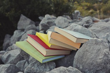 Taş duvardaki kitaplar. 