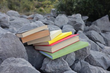 Taş duvardaki kitaplar. 