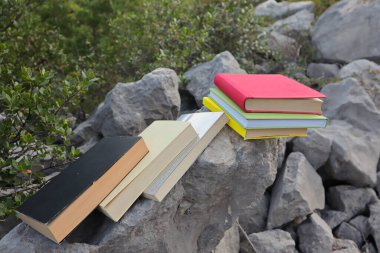 Taş duvardaki kitaplar. 