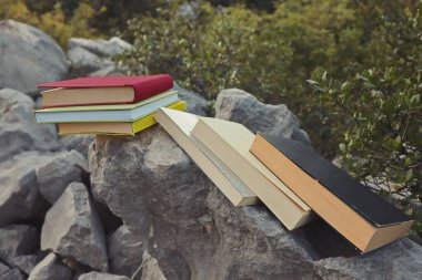 Taş duvardaki kitaplar. 