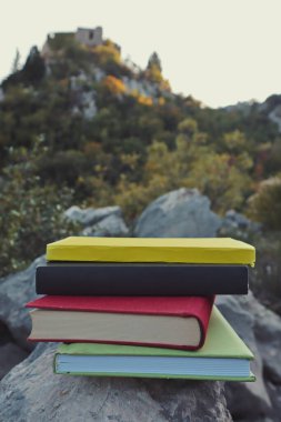 Taş duvardaki kitaplar. 