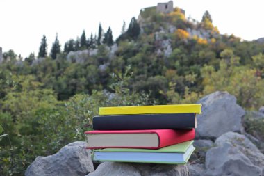 Taş duvardaki kitaplar. 