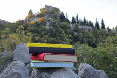 Taş duvardaki kitaplar. 