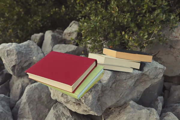 Taş duvardaki kitaplar. 