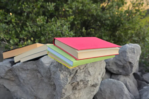 Taş duvardaki kitaplar. 