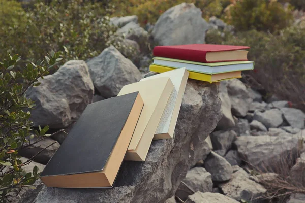 Taş duvardaki kitaplar. 