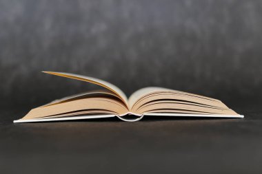 Tahta bir masanın üzerinde açık bir kitap.