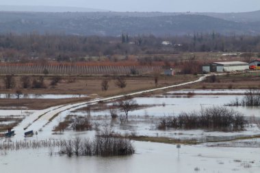 beautiful landscape with a river and the forest in the morning, russia