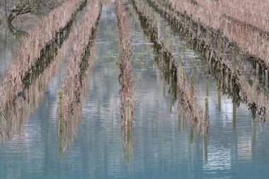 Sabah göl manzarası çok güzel.