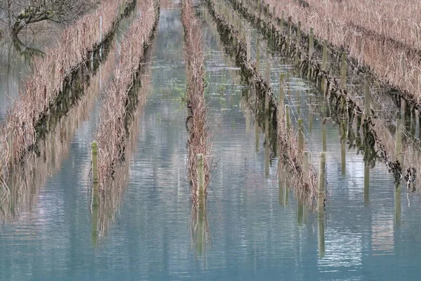 Sabah göl manzarası çok güzel.