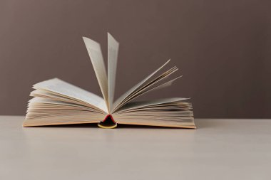 Tahta bir masanın üzerinde açık bir kitap.