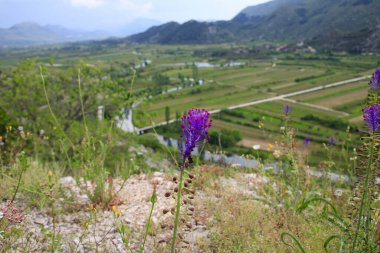 kitaplık ve kitaplık yığını, yakın plan