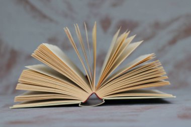 Masanın üzerinde açık bir kitap