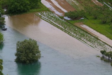 Ormandaki nehrin havadan görünüşü