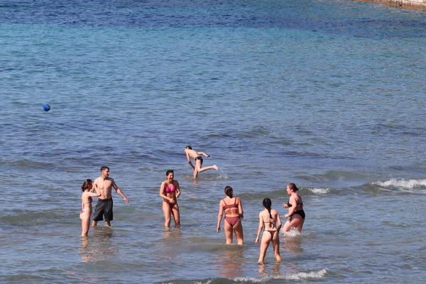 克罗地亚斯普利特 2012年5月25日在阳光明媚的日子 带着狗在海滩上的女孩 — 图库照片