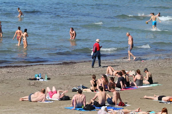 Split Kroatië 2023 Meisje Met Hond Het Strand Zonnige Dag — Stockfoto