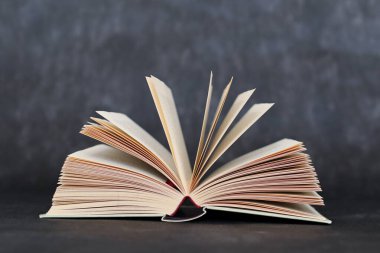 kitap gri arka plan üzerine açık 