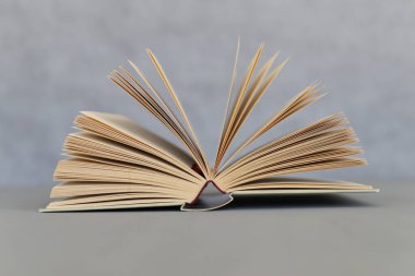 08.07.2023. Hırvatistan 'ın Vrgorac kenti ve Temmuz ayının ikinci haftası, başta Dubrovnik istikametindeki otoyol olmak üzere Hırvatistan' ın güneyinde trafiği artırdı..