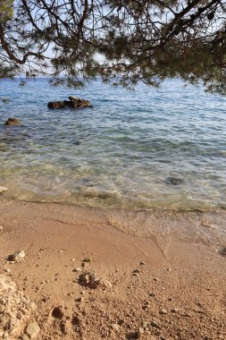 Temiz suyu olan bir sahilin dikey görüntüsü.