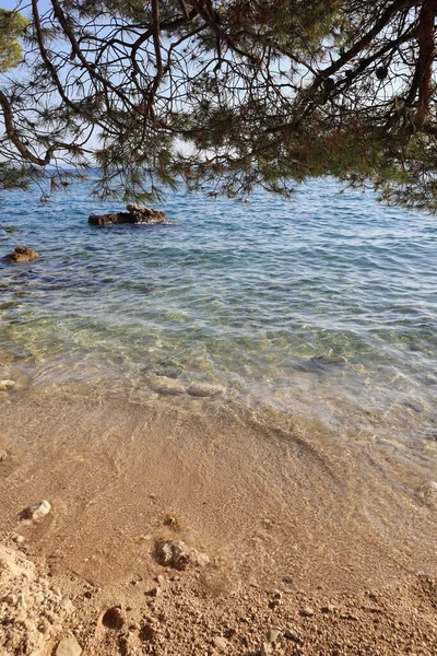 Eine Vertikale Aufnahme Des Meeres Mit Einem Baum Und Einem — Stockfoto