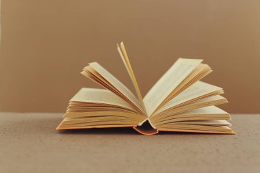 açık renkli arka plan üzerinde kitap