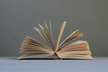 Beyaz arkaplan üzerine kitap aç