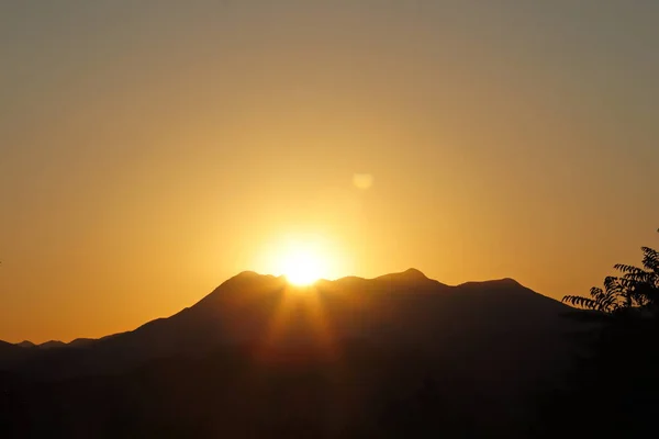 Güneş ışınları gün batımında kalın bir dağ ormanında parlıyor..