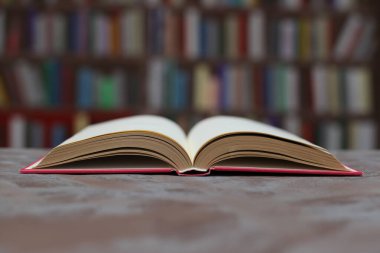 Masada yığınla kitap var.