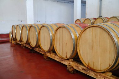Şarap mahzeninde fıçılar
