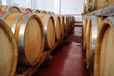 Şarap fıçıları mahzende