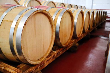 Şarap fıçıları mahzende.