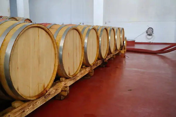 red wine barrels at the winery