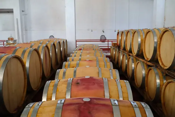 wine barrels in the winery, winery