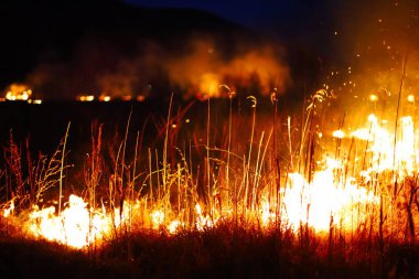 alevler siyah arkaplanda