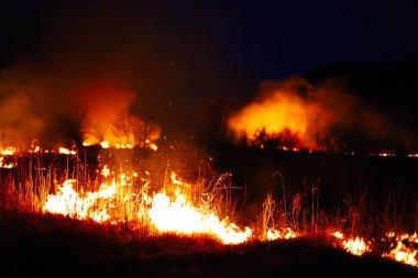Yanmış bölge, savaş operasyonları, yangın, bombardıman, felaket, Ukrayna,