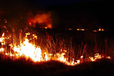 Yanmış bölge, savaş operasyonları, yangın, bombardıman, felaket, Ukrayna,