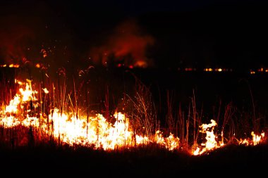 Yanmış bölge, savaş operasyonları, yangın, bombardıman, felaket, Ukrayna,