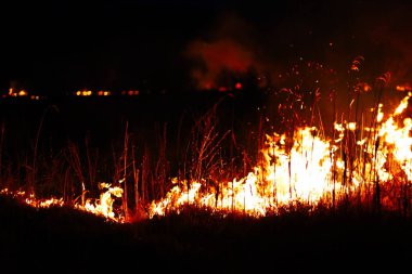 Yanmış bölge, savaş operasyonları, yangın, bombardıman, felaket, Ukrayna,