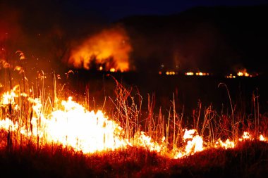 Yanmış bölge, savaş operasyonları, yangın, bombardıman, felaket, Ukrayna,