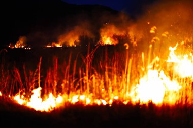 Yanmış bölge, savaş operasyonları, yangın, bombardıman, felaket, Ukrayna,