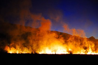 Siyah arkaplanda yangın