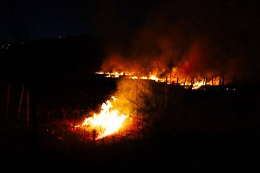 Yanmış bölge, savaş operasyonları, yangın, bombardıman, felaket, Ukrayna,