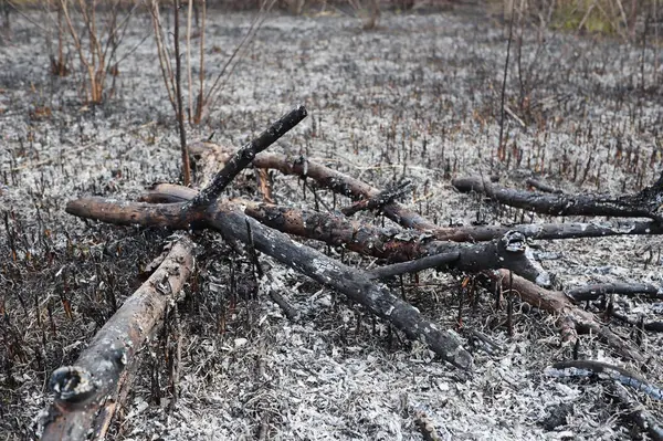 Yanmış bölge, savaş operasyonları, yangın, bombardıman, felaket, Ukrayna,