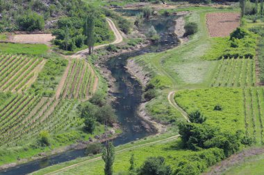 Parktaki bir nehrin havadan görünüşü