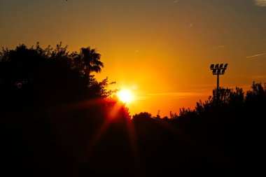 günbatımında bir ağaç ve ay ile