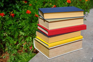 Dışarıdaki ahşap masada yığınla kitap var. Okula geri dön.